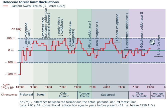 Holocene forest limit fluctuations