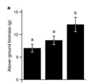 growth response to warming