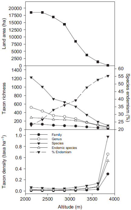 relative neighbour effect