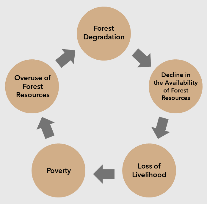 Figure 1: Poverty Spiral